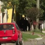 El Crimen de Jubilados Rurales: ¿Seguridad o Aislamiento?