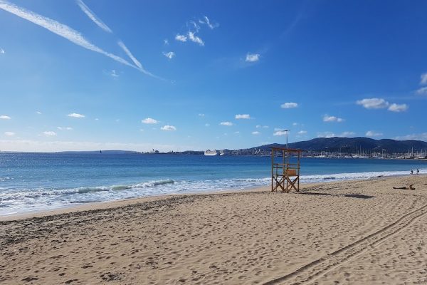 Omnia Veritas Detectives